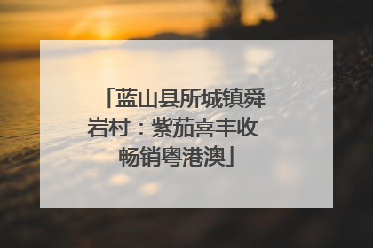 蓝山县所城镇舜岩村：紫茄喜丰收 畅销粤港澳